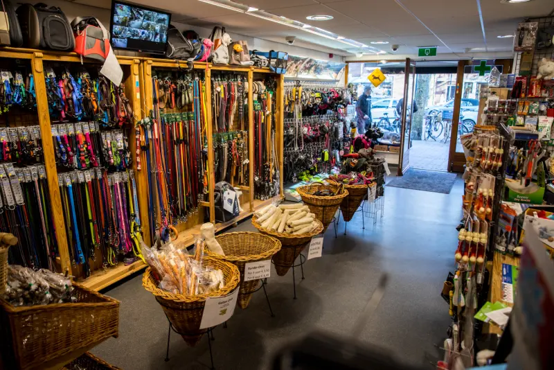 De winkel van Dierenspeciaalzaak Bos: een houten wand vol riemen en halsbanden, rieten manden met kauwsnacks en uitzicht op de Binnenweg